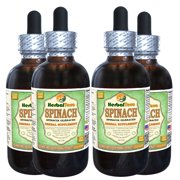 Spinach (Spinacia Oleracea) Glycerite, Organic Dried Leaf Powder Alcohol-FREE Liquid Extract (Herbal Terra, USA) 4x4 oz