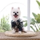 thumbnail image 5 of Ropa de primavera y verano para perros y gatos, camiseta de estilo hawaiano para mascotas, ropa para perros con patrón de árbol de coco 752, 5 of 6