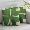 thumbnail image 3 of nygtbtfer Pillow Covers Set of2, Decorations for Home Happy St Patricks Day Decorative Throw Pillows Farmhouse St Patricks Day Decor White, 3 of 7