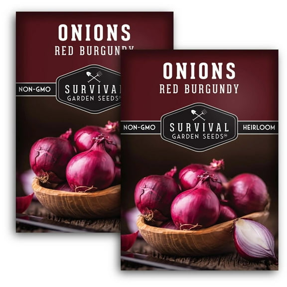 2 Packs Burgundy Red Onion Seeds - Non-GMO Heirloom Full Sun Biennial Vegetable