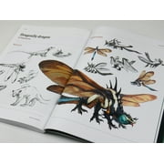 Fundamentals of Creature Design: How to Create Successful Concepts Using Functionality, Anatomy, Color, Shape & Scale, (Paperback)