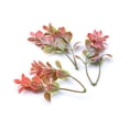 thumbnail image 3 of Gwong Decoración hogareña 5pcs / set Artificial Plástico Flores Plantas Headwear Garland Accesory Crafts Gwong 21052149, 3 of 7