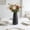 Black-S, variant on NWOKYZGH Plastic Vase for Flowers Plants, Vases for Modern Table Shelf Home Decor Wedding Boho Decor, Elegant Ceramic Vase for Pampas Grass Fluffy Stem Bouquet Lavender Flowers