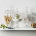 thumbnail image 6 of Palais Glassware Clear Glass Apothecary Jars - Set of 3 - Wedding Candy Buffet Containers, 6 of 7