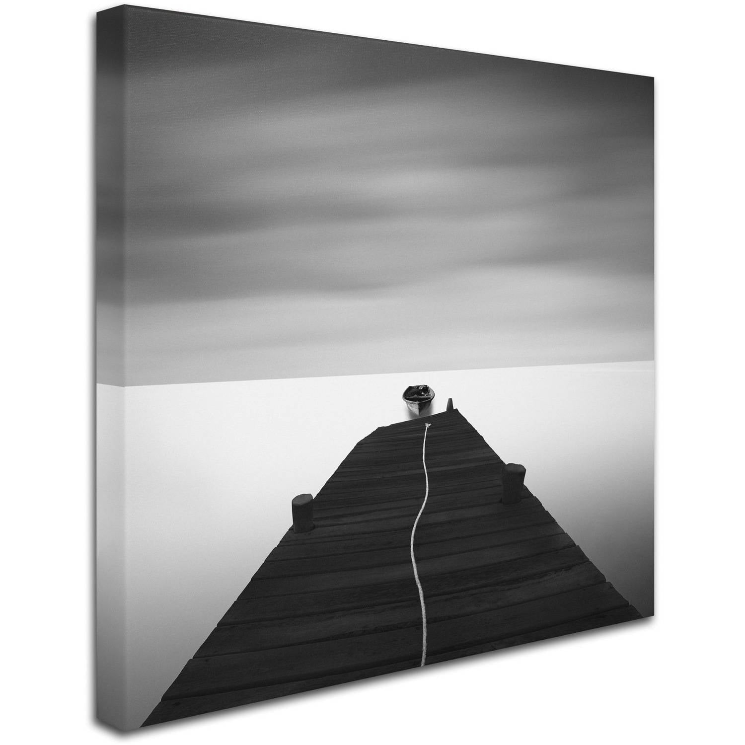 Trademark Fine Art "Free" Canvas Art by Moises Levy