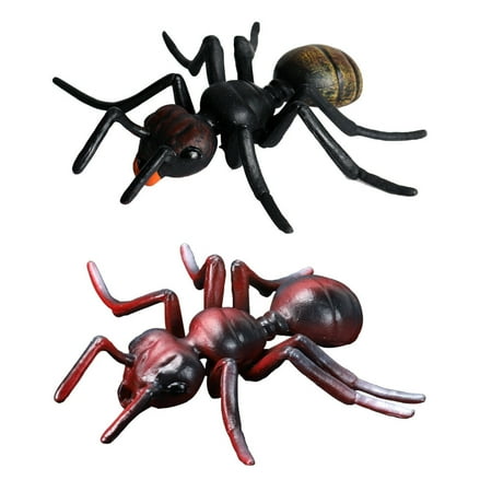 

FRCOLOR 2 Pcs Simulation Ant Model Children s Educational Toys Ant Toy for Kids