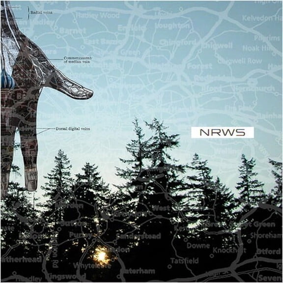 Narrows - New Distances - Heavy Metal - CD