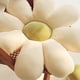 thumbnail image 4 of Cojín de suelo con forma de flor de 60 cm, bonito cojín con forma de girasol, cojín para silla, cojín de gran tamaño para decoración del hogar, regalos para niños, niñas y mujeres (margaritas blancas, 4 of 4