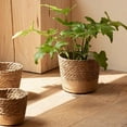 thumbnail image 6 of Bxaolu Seagrass Basket Planters, Flower Pots Cover Storage Basket Plant Containers Hand Woven Basket Planter, Straw Flower Pot for Indoor Outdoor Plant, 6 of 8