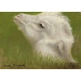 thumbnail image 2 of Rosa Bonheur 18x14 Black Ornate Wood Framed Double Matted Museum Art Print Titled - Head of a Lamb, 2 of 5