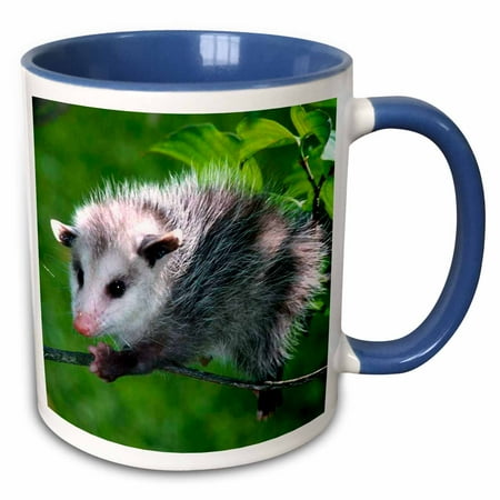 

3dRose Opossum - Two Tone Blue Mug 11-ounce