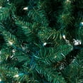 thumbnail image 3 of 4.5-Foot Pre-Lit Multi-Color Green Pine Tree, 3 of 3