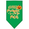 thumbnail image 4 of Halloween Pet and Dog Bandana Screen Printed, "Cutest Pumpkin In The Patch", 4 of 10