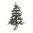 thumbnail image 1 of Vickerman 5' Norwegian Pine Artificial Christmas Tree with 150 Clear Lights., 1 of 1
