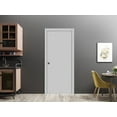 thumbnail image 4 of Slab Barn Door Panel | Planum 0010 Matte Grey | Sturdy Finished Flush Modern Doors | Pocket Closet Sliding-24" x 80", 4 of 5