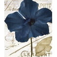 thumbnail image 2 of Sommers, Mindy 26x30 White Modern Wood Framed Museum Art Print Titled - Navy Poppy, 2 of 4