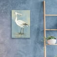 thumbnail image 4 of Epic Art 'Sea Bird 1' by Stellar Design Studio, Acrylic Glass Wall Art, 16"x24", 4 of 8
