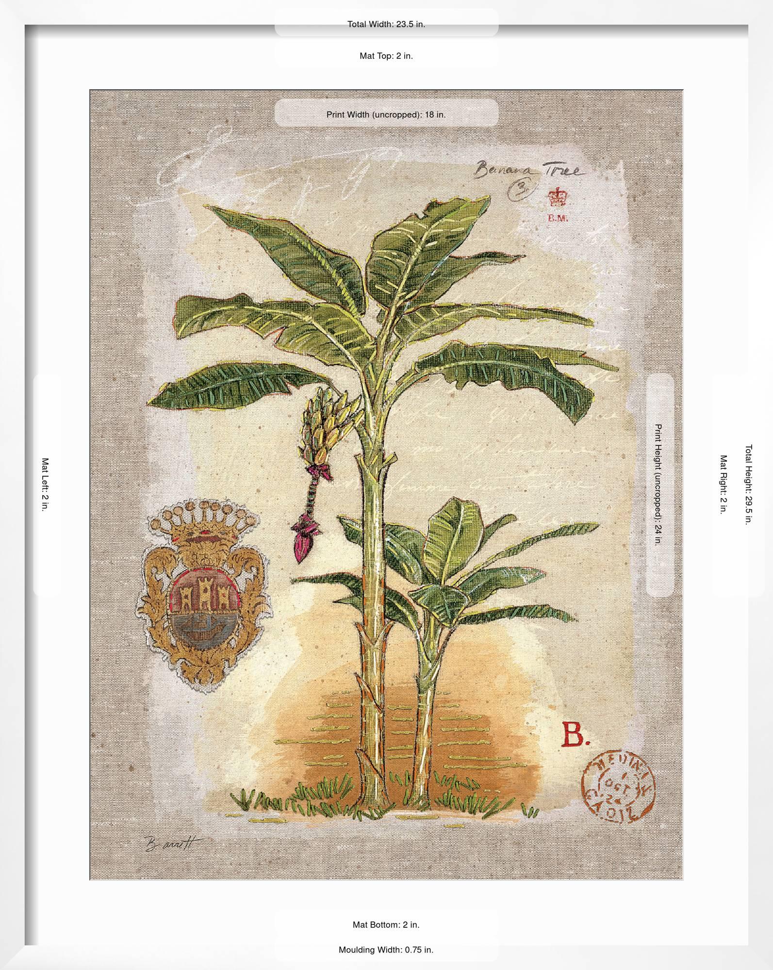 Art.com Linen Banana Palm Tree Art Print by Chad Barrett  display picture 1