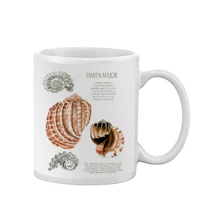 

Seashell Field Notes Ii Mug - Naomi McCavitt Designs