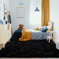 thumbnail image 5 of H HOMORE Cute Fluffy Shaggy Black Area Rug, 4' x 5.9', Super Soft, Easy to Clean, 5 of 7