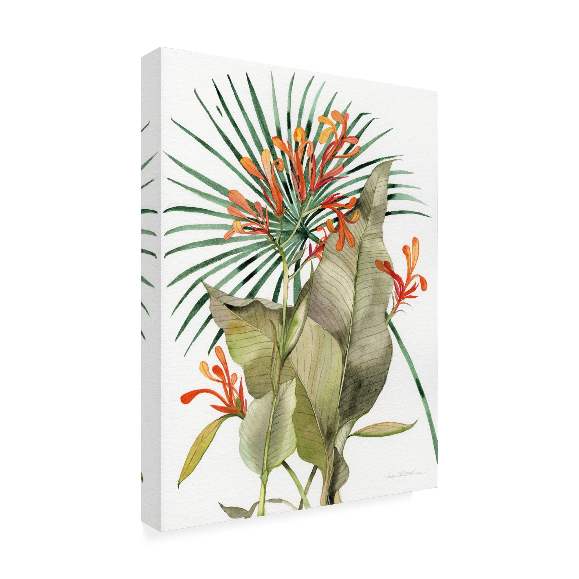 Trademark Fine Art 'Botanical Flame Lilies' Canvas Art by Kathleen Parr McKenna