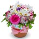 thumbnail image 1 of Set de regalo para bebés Nikki's Gift Baskets Deluxe Baby Blossom, 1 of 7