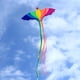 thumbnail image 2 of Cometa de ave fénix vívida, animal fácil de volar, cometa grande de cola larga de una sola línea para B, 2 of 7