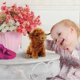 thumbnail image 4 of 25cm Highland Cows Stuffed Animal, Scottish Cow Plush Toy, Soft Farm Cattle, 4 of 5