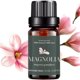 thumbnail image 4 of Aceite Esencial UVA NATURAL Magnolia aromaterapia, 4 of 6