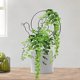 thumbnail image 2 of Enrejado de Metal Compatible con plantas trepadoras Enrejado de plantas en maceta con forma de Animal Compatible con plantas trepadoras en, 2 of 5
