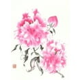 thumbnail image 2 of Rae, Nan 25x32 White Modern Wood Framed Museum Art Print Titled - Peonie Blossoms I, 2 of 4