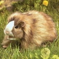 thumbnail image 4 of Guinea Pig Puppet (Other), 4 of 4