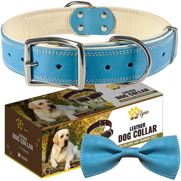 Best collar for large clearance dogs