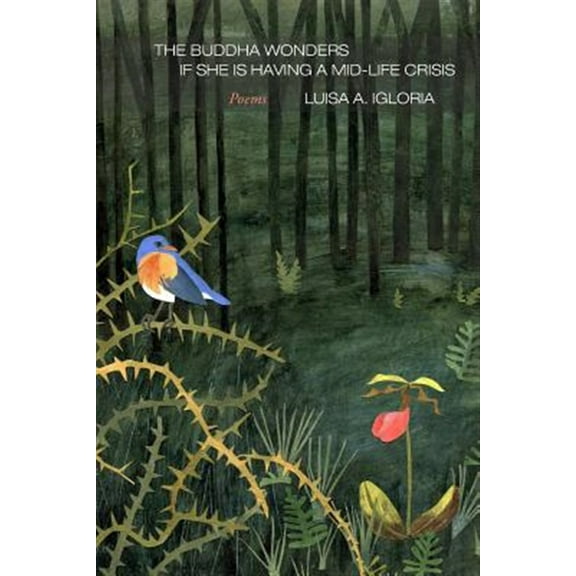 The Buddha Wonders if She is Having a Mid-life Crisis (Paperback) by Luisa A Igloria