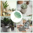 thumbnail image 5 of Uxcell Artificial Succulent Plants Unpotted Fake Succulents Simulation Plants Green 2 Pack, 5 of 5