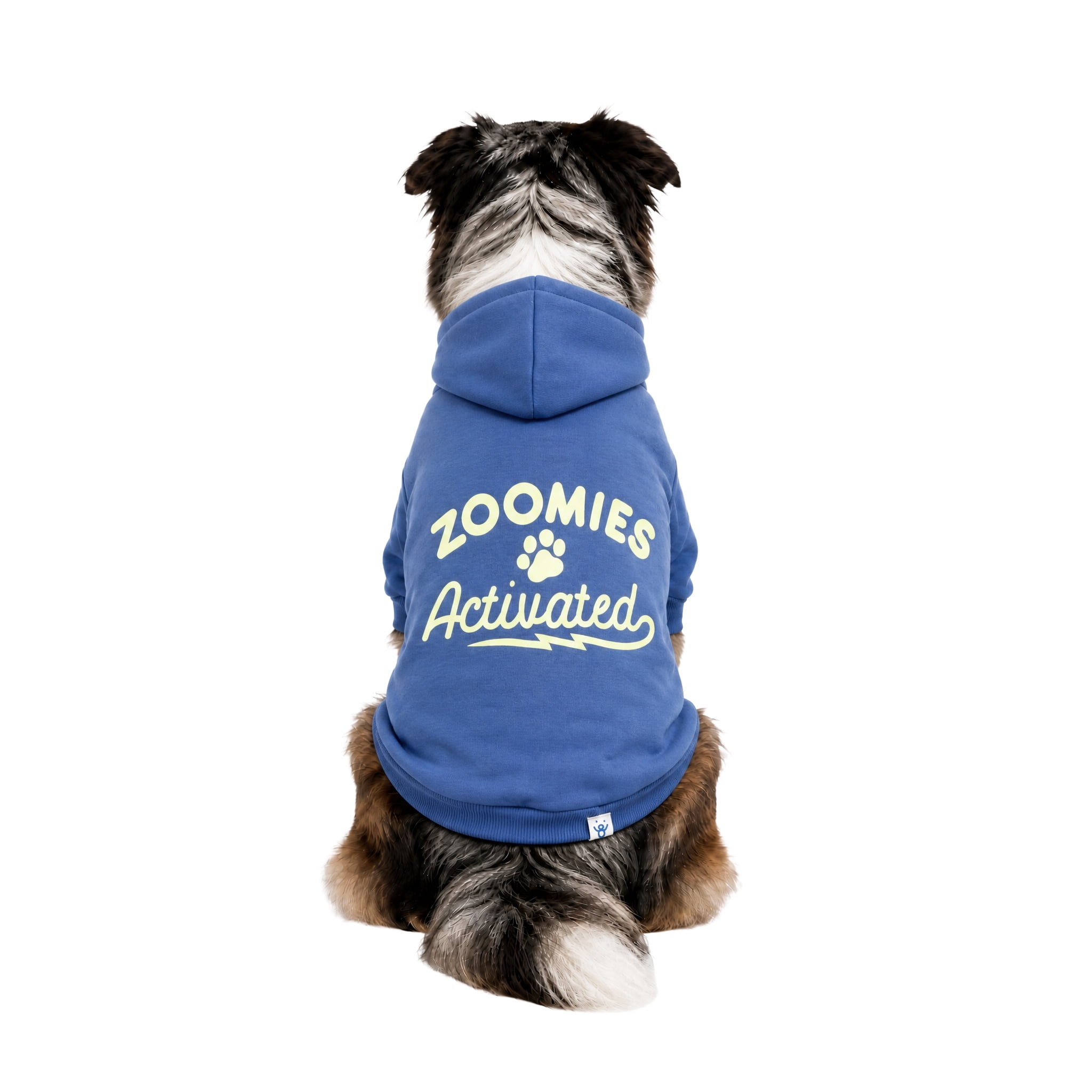 Oodles Zoomie Activated Fall Dog Hoodie, Blue, Large