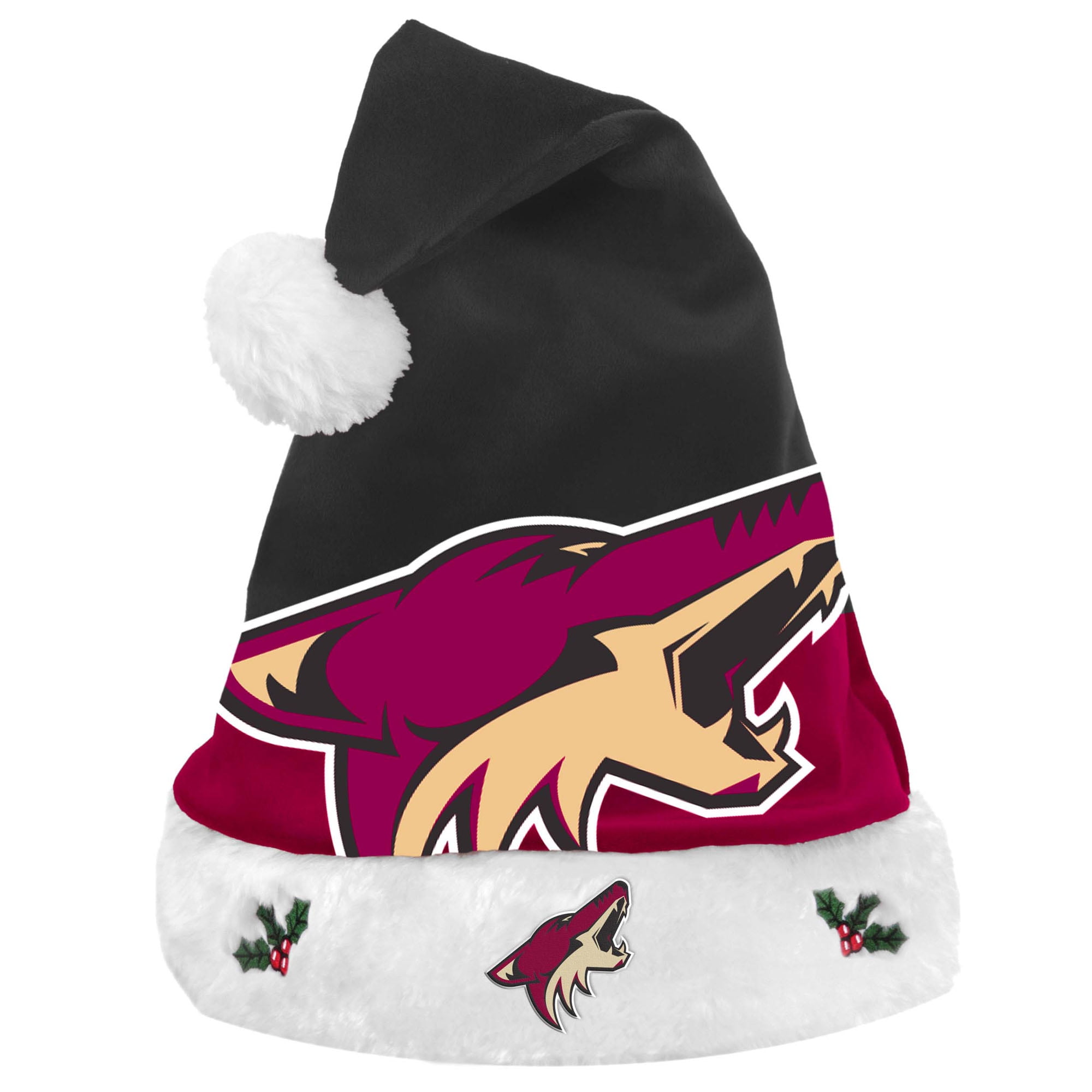 arizona coyotes beanie