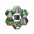 thumbnail image 4 of Agfabric Mulch Barrier Plastic Mulch Film 3' x 100', 1 Mil with Punch Holes, Strawberry Tomato Potato Weed Control PE Sheeting, Hole Dia 1.8", 4 of 4