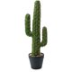 thumbnail image 1 of Flor artificial artificial, bonsái de cactus tropical, decoración creativa, decoración del hogar, plantas en macetas, 1 of 5