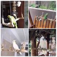 thumbnail image 3 of 1pc Parrot Perch Stand Bird Training Rack Bird Swing Toy Supply (Light Brown), 3 of 5