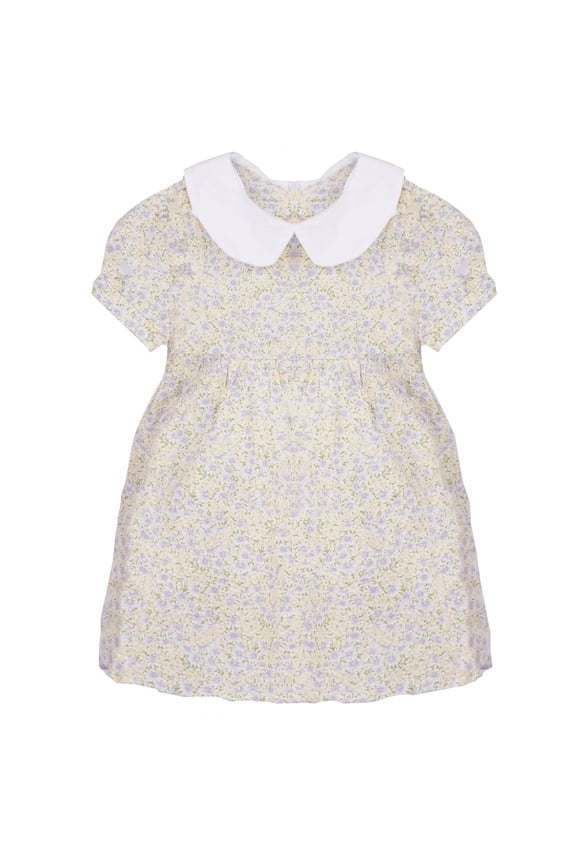 Toddler Girls Short Puff Sleeve Peter Pan Collar Floral Dress 2-3 Years