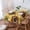 Beige, variant on Sunflower Tablecloth Rectangle Table Cloth 60x102,Waterproof Outdoor Table Cloth Covers Decorative Table Protector,Yellow Spring Summer Floral Farmhouse Washable Table Cover for Kitchen Dinning Party