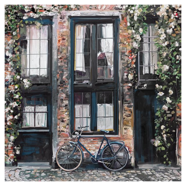 Cuadros Decorativos - Bicicleta Jr Canvas