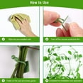 thumbnail image 3 of 100 piezas de clip de fijación de enredadera de pared, soporte de soporte para plantas trepadoras, gancho adhesivo de pared, soporte para plantas, clip de unión, soporte para enredadera, 3 of 6