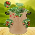thumbnail image 3 of CreativeArrowy Planter Pot With Handles Garden Planting Grow Bag Breathable Nonwoven Fabric Visualization Pockets, 3 of 14