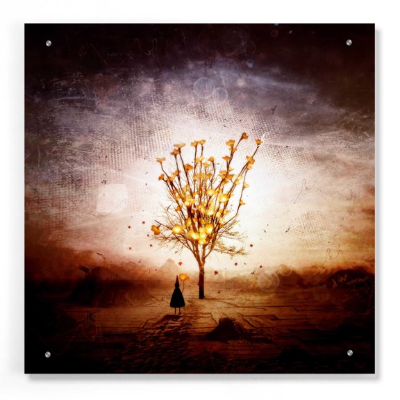Epic Art 'Finding' by Mario Sanchez Nevado, Acrylic Glass Wall Art, 24"x24"