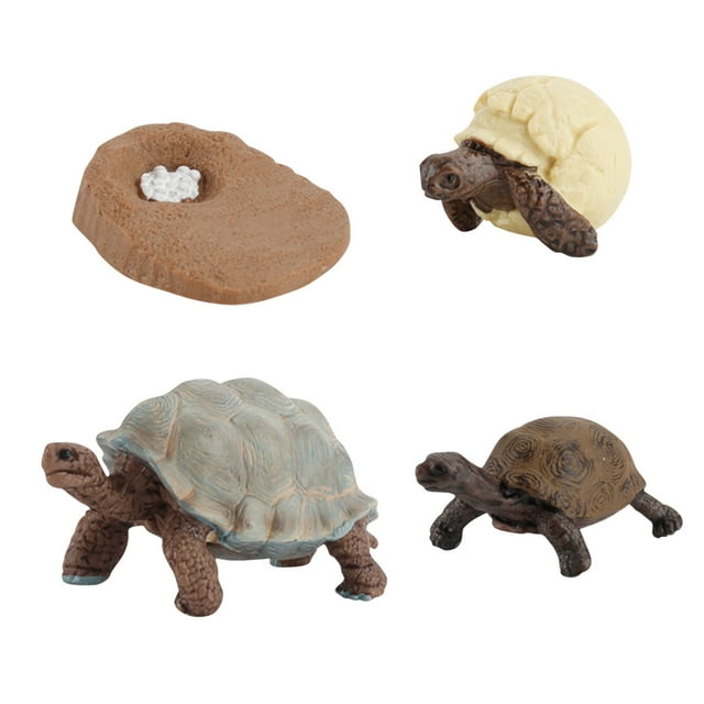 Plastic Animals Figures 4 Piece Insect Figure Animal Life Cycle Plastic Brood to Mature Period