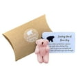 thumbnail image 1 of JAKANYQ Handmade Bear Small Animal Pocket Cuddle Plush Toy Box Presents Exquisite Cards Small And Cute, 1 of 7