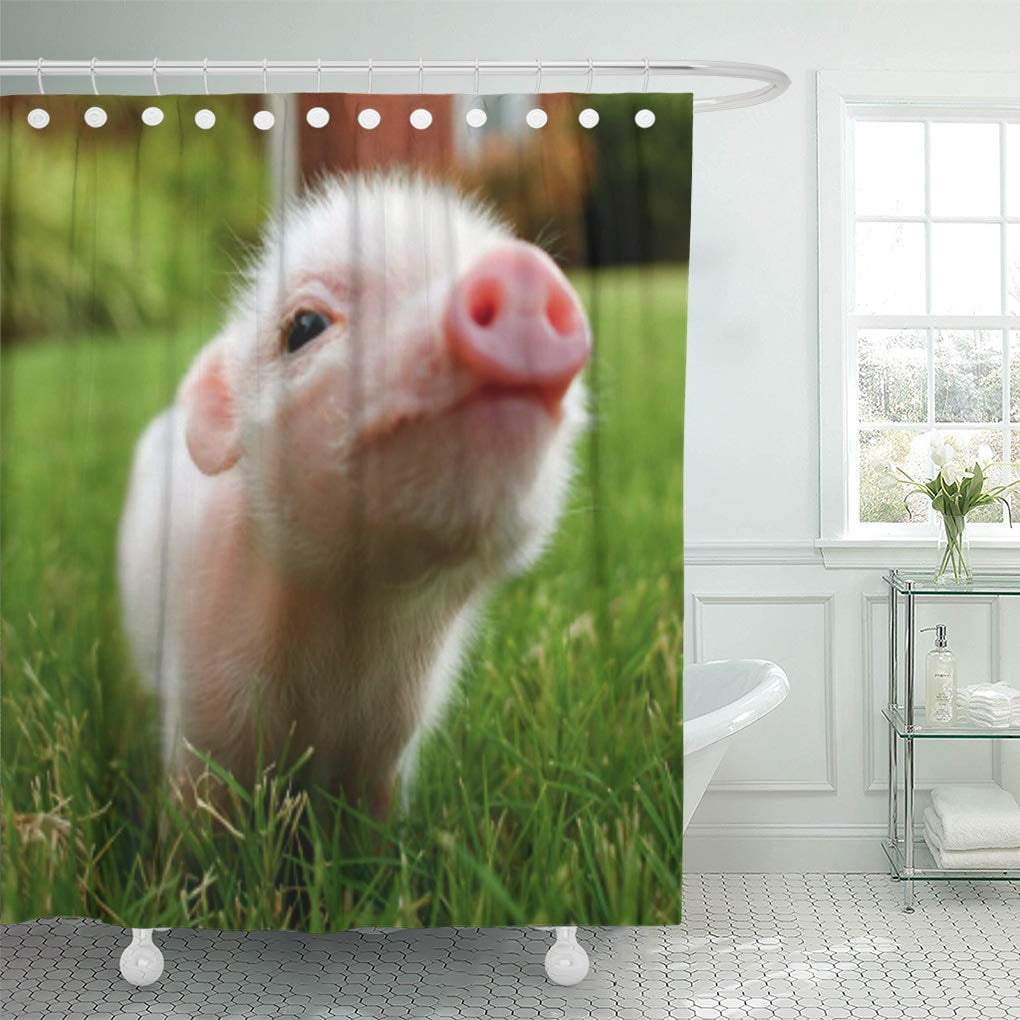 Cynlon Farm Baby Pink Pig Bathroom Decor Bath Shower Curtain 66x72 Inch Walmart Com Walmart Com