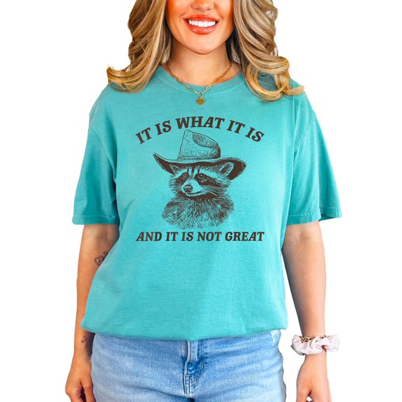 It Is What It Is and It Is Not Great Shirt for Women & Teens Funny Raccoon Tee Seafoam Shirt Adult 2X-Large